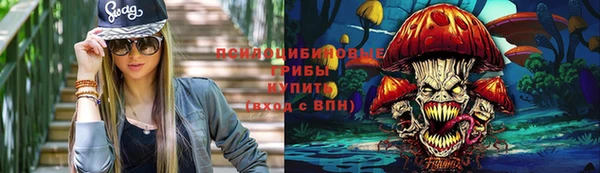 Альфа ПВП Арсеньев